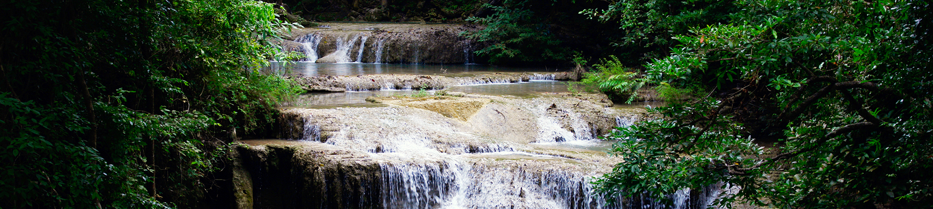 beauty of nature - Prakasawellness