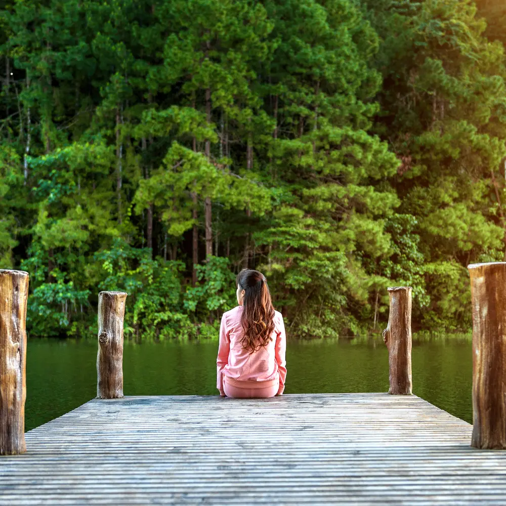 forest bathing image 2