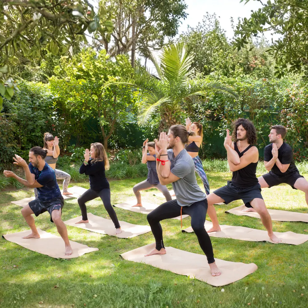 Best Wellness Workshops in Kerala